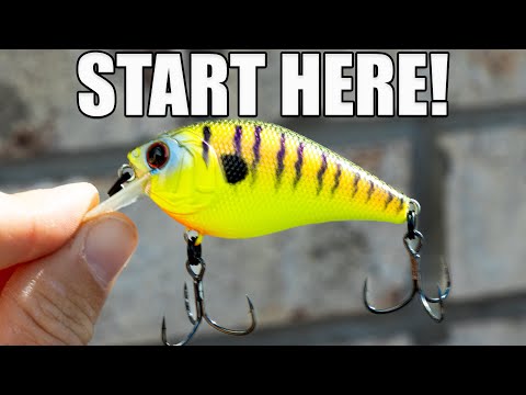Видео: Руководство для начинающих по ловле на крэнкбейт: что можно и чего нельзя делать