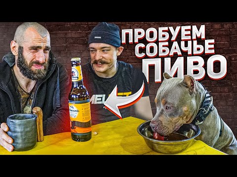 Видео: ПРОБУЕМ СОБАЧЬЕ ПИВО