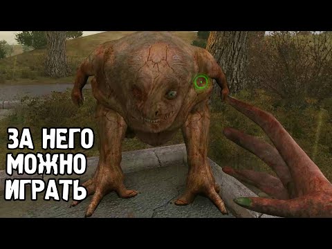 Видео: Управляю псевдогигантом в STALKER