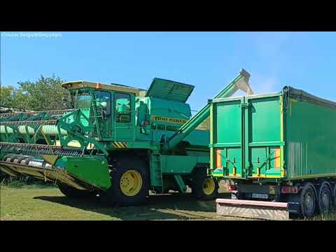 Видео: Соя 007. Соя Канзас. Соя Аполо. Хто краще?