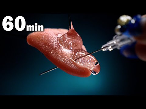 Видео: [Коллекционное издание] ACMP 1час с использованием исключительно реалистичного языка [ASMR, пирсинг]