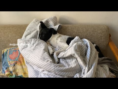 Видео: august diaries/итоги лета: новая работа, поиск работы, поиск себя, расставание