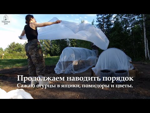 Видео: Купили дачу на Урале.№3 Конец мая. Сажаю огурцы, помидоры и цветы. Продолжаем уборку на участке