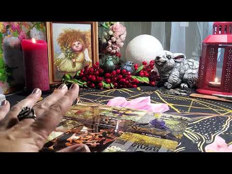 Видео: "ВЫ" -  ГЛАЗАМИ🦅 ГОРОДСКИХ ВОРОНОВ #оракул#siraya