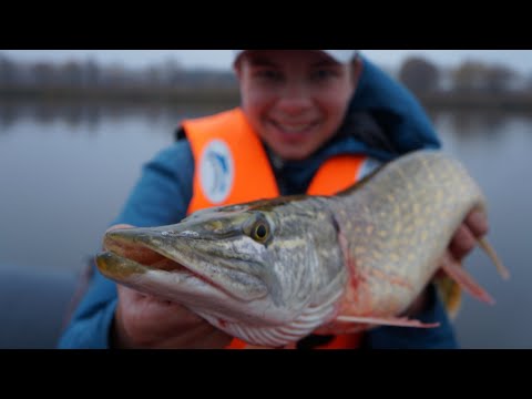 Видео: Эта приманка сделала рыбалку.... По холодной воде работает уменьшение размера приманки