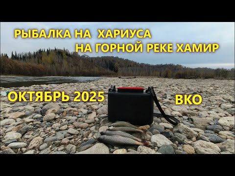 Видео: РЫБАЛКА НА ХАРИУСА. НА ГОРНОЙ РЕКЕ ХАМИР / ОКТЯБРЬ 2025 / ВКО