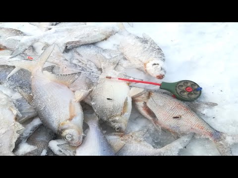 Видео: ЗИМНЯЯ РЫБАЛКА🎣С ЧЕРТИКОМ👹 НА ЛЕЩА. ВАЗУЗА (ХЛЕПЕНЬ).