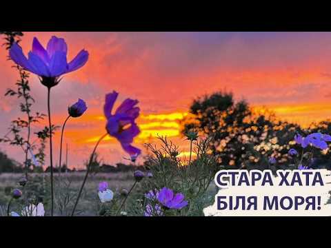 Видео: Стара хата біля моря. На межі весни та літа.