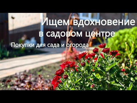 Видео: Покупки для сада и огорода / Садовый центр Лемана про / Inspiration at the garden center
