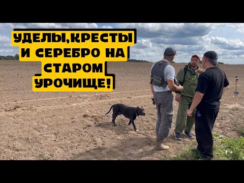 Видео: УДЕЛЫ,КРЕСТЫ И СЕРЕБРО НА СТАРОМ УРОЧИЩЕ!