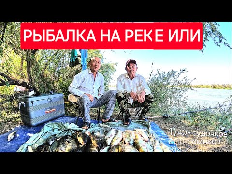 Видео: РЫБАЛКА  С БРАТИШКОЙ РЕКА ЖИДЕЛИ 2024ГОД