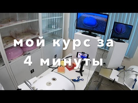 Видео: Курс лапароскопии за 4 минуты // Laparoscopic course by Zhaugashev