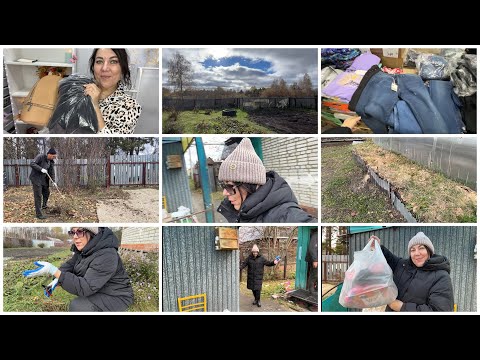 Видео: 😱СИЛЬНО НАПУГАЛАСЬ/🛍️ПОКУПКИ СВЕТОФОР/🧹УБОРКА НА ДАЧЕ, 🪻ОБРЕЗАЛА ЦВЕТЫ/📦ЗАКАЗ USmall
