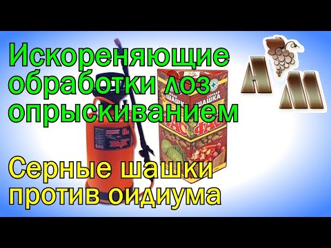 Видео: 🍇 Осенняя искореняющая обработка винограда. Серные шашки  против оидиума в теплице