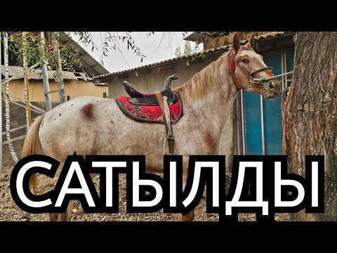Видео: САТЫЛДЫ 
