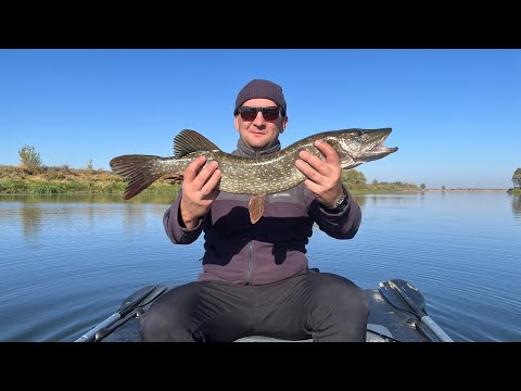 Видео: РЫБАЛКА НА ОКЕ (осень 2024)