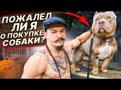 Видео: ПОЖАЛЕЛ ЛИ Я О ПОКУПКЕ СОБАКИ СПУСТЯ 2 ГОДА?