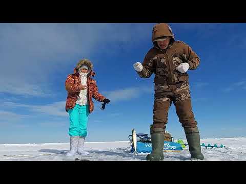 Видео: ТАКОЙ рыбалки еще не было. Муж в восторге.. Деревянный конструктор UGEARS Механический аквариум