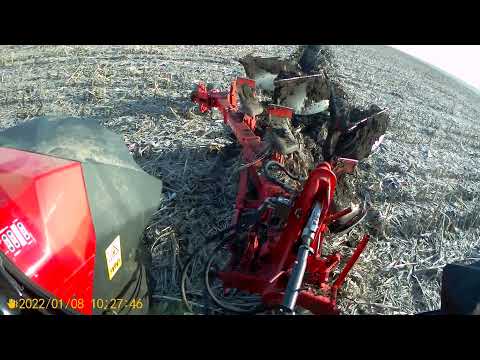 Видео: Оранка кукурудзи плуг Оптікон майстер А4 3/45см#plowing a field of corn.  Optikon master A4