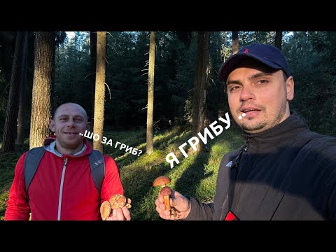 Видео: За грибами через 10 сіл у Німеччині