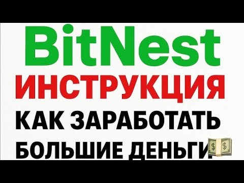 Видео: bitnest отзывы как начать получать выплаты любому человеку. Заработок в интернете битнест обзор млм