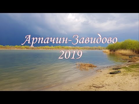 Видео: Арпачин Завидово 2019. Выпуск №502