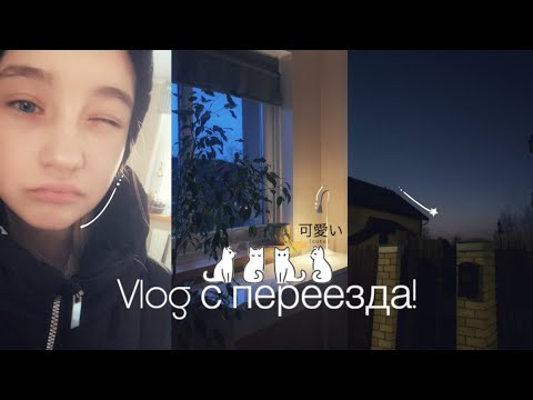 Видео: ВЛОГ с переезда! Распаковка, и первый опыт/ Кто появился?😨💜