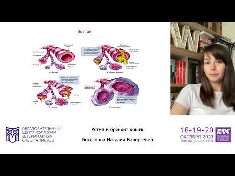 Видео: Астма и бронхит кошек — Богданова Наталия