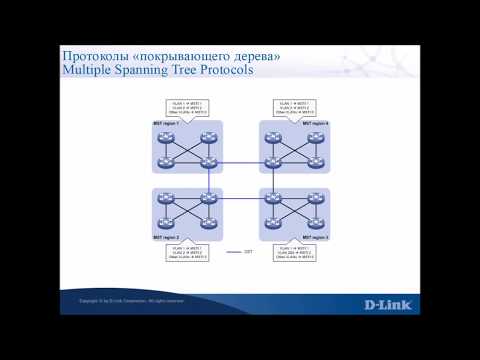 Видео: Различия протоколов семейства Spanning Tree Protocol (STP)