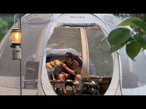 Видео: Solo Camping в жаркое лето с полными сетками и собакой
