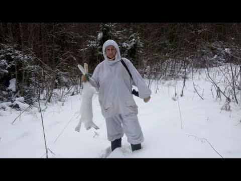 Видео: ОХОТА НА ЗАЙЦА С ГОНЧИМИ В КАНУН РОЖДЕСТВА! ДОБЫЛ В ТЕМНОТЕ!