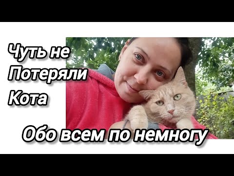 Видео: ОГОРОДНЫЕ ДЕЛА🧹/ОБЗОР ПОКУПОК🛍️/ЦВЕТЫ 🌼И НАШ УРОЖАЙ 2025г.🌾#рекомендаціі #переселенці #життявселі 