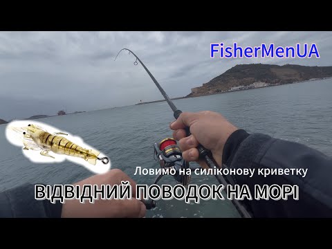 Видео: Відвідний поводок на морі. Рибалка в Іспанії з берега на спінінг. Рибалка в дощ. Ловля на криветки