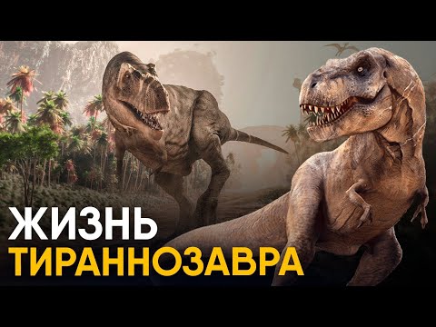 Видео: Что, если бы вы стали Тираннозавром на один день?