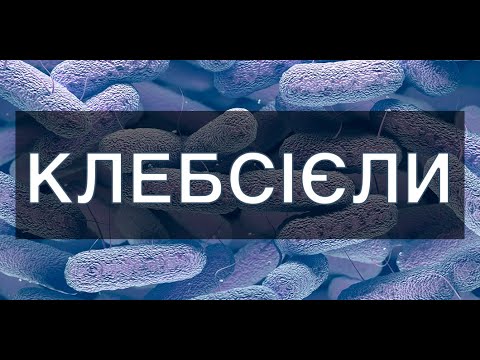 Видео: Клебсієли. Гіпервірулентна K. pneumoniae (Hv-Kp)
