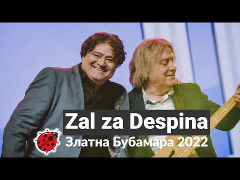 Видео: Naum Petreski - Zal za Despina - Наум Петрески - Жал за Деспина - ZLATNA BUBAMARA 2022
