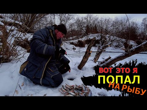 Видео: Пробурил лунку под КОРЯГОЙ, а там РЫБЫ ПРОСТО ПРЕСС | МОЩНЫЕ ПОКЛЁВКИ ЖИРНЫХ РЫБИН |Подводные съёмки