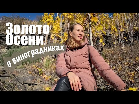 Видео: Магия осени. Германия, Арвайлер. Magischer Herbst. Ahrweiler, Germany