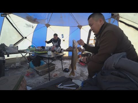 Видео: РЫБАЛКА С ШИШКИНЫМ ДОМОМ 2