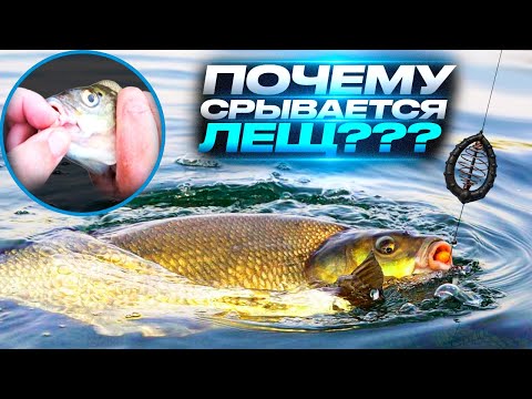 Видео: Почему срывается лещ???Рыбалка на донки ,ловим осторожного леща. Сamping ,fishing,bushcraft,nature.