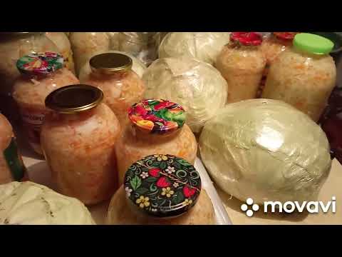 Видео: жизнь в деревне//банки заполнила//18 октября 2023 г.