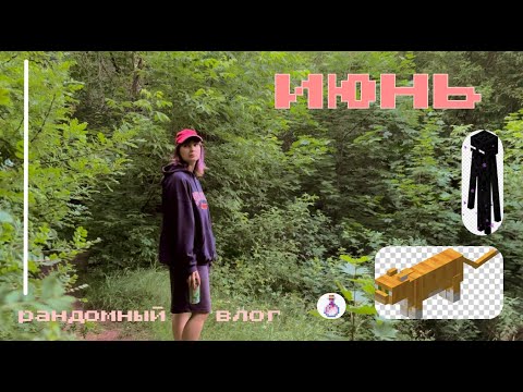 Видео: 21 | ИЮНЬ RANDOM VLOG | коты гроза Kusleran