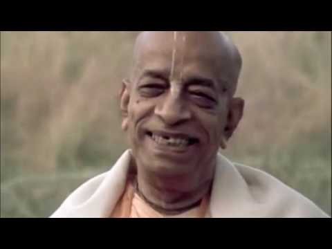 Видео: 08.11.2019, Вриндаван, Трогательный киртан в комнате Шрилы Прабхупады, Кришна Мишра дас