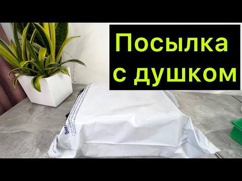 Видео: Посылка с душком / распаковка новинок / #хойя