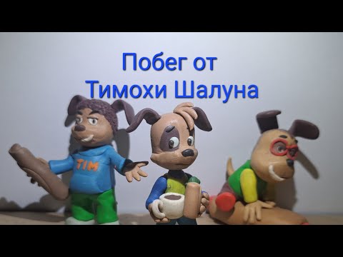 Видео: Побег от Тимохи Шалуна
