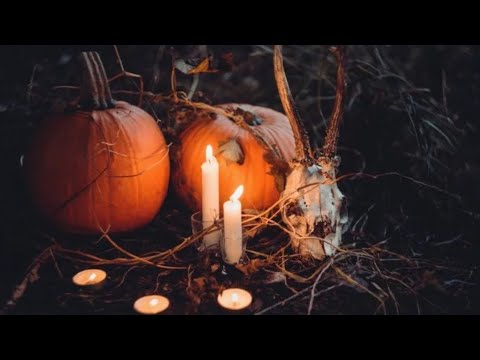 Видео: Самайн 🎃Послание от предков 👴👵Что посеешь -то и пожнешь 🌾