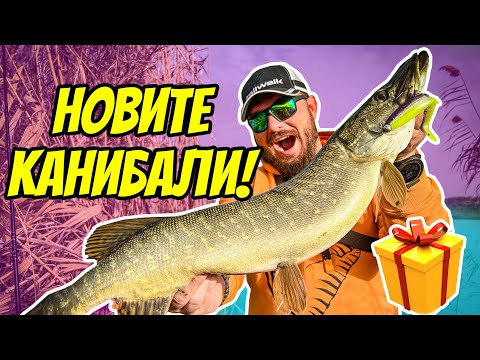 Видео: САМО ТУПАЛКИ С НОВИТЕ КАНИБАЛИ! РИБОЛОВ НА ЩУКА. GIVEAWAY