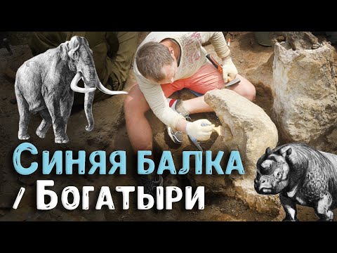Видео: Богатыри/Синяя Балка | Уникальные палеонтологические находки: мамонты, эласмотерии, древние орудия