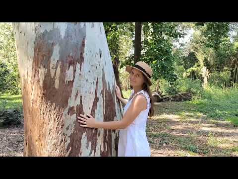 Видео: 🌴Сочи-Сириус-Парк Южные культуры 🌲👫🌵