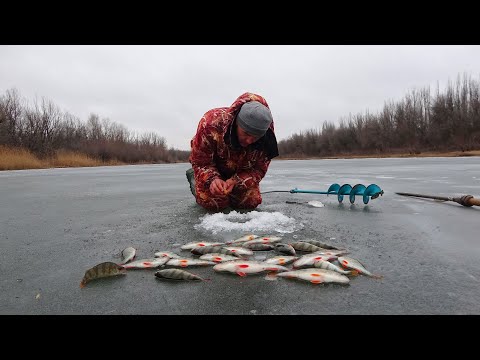 Видео: ПАЛКА И ХОМУТ, ШАРЮСЬ В ОСТРОВАХ. Стая рыбы в каждой лунке. Зимняя рыбалка по опасному льду на окуня